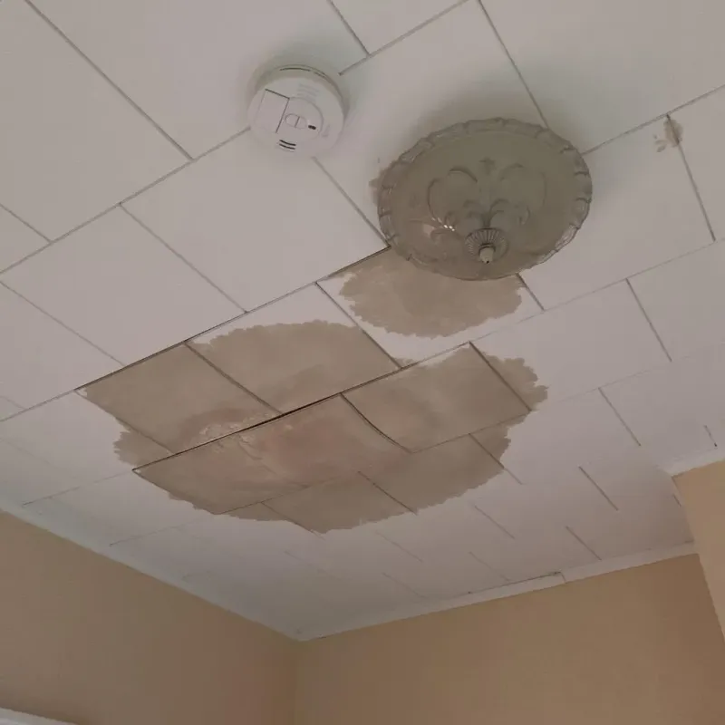 Ceiling Water Damage Repair in Beach Park, IL