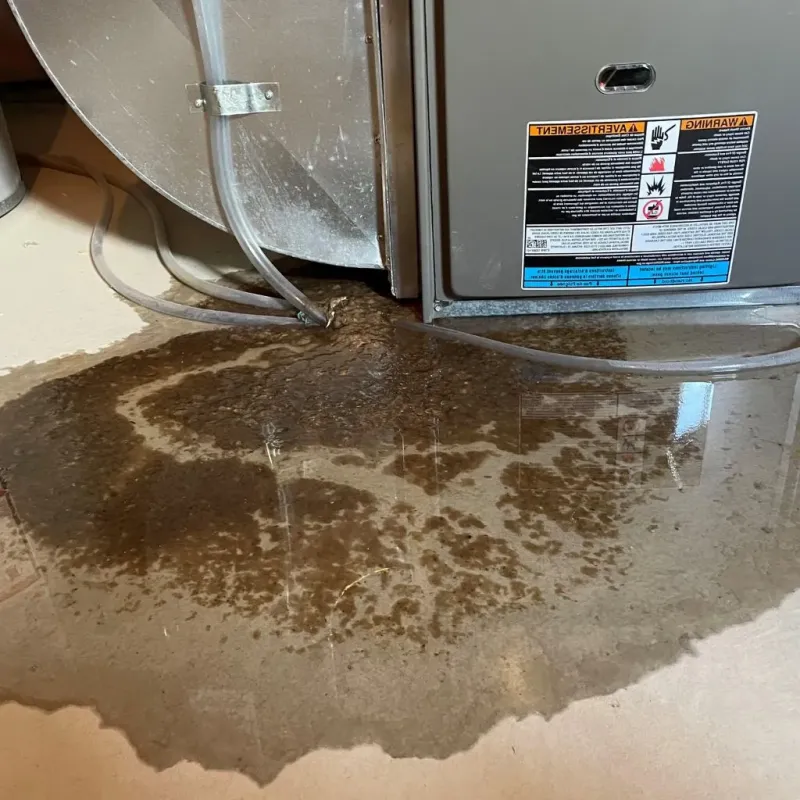 Pipe Burst and Leak Restoration in Beach Park, IL
